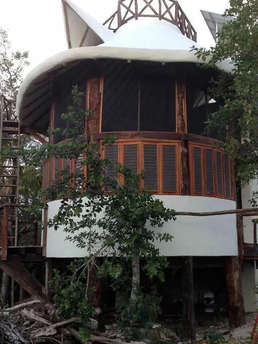 Exotic Eco House In Jungle With Private Cenote Villa Tulum 0*,