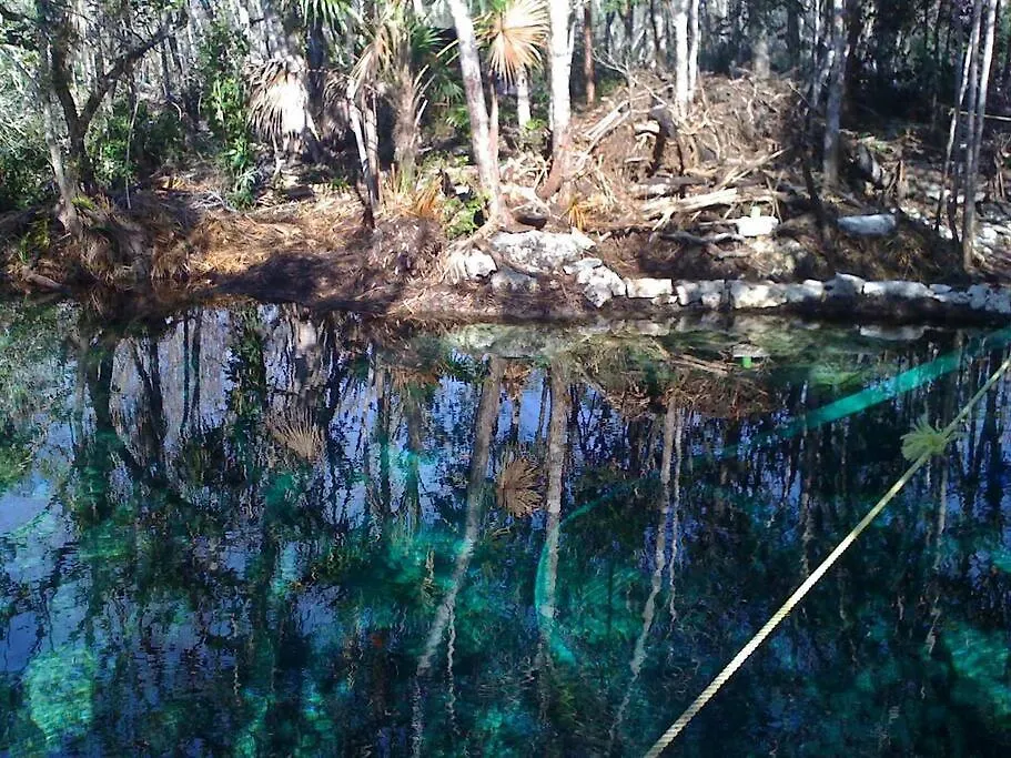 Exotic Eco House In Jungle With Private Cenote Villa Tulum Mexico