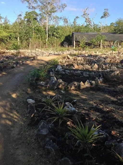 Exotic Eco House In Jungle With Private Cenote Villa Tulum Holiday home