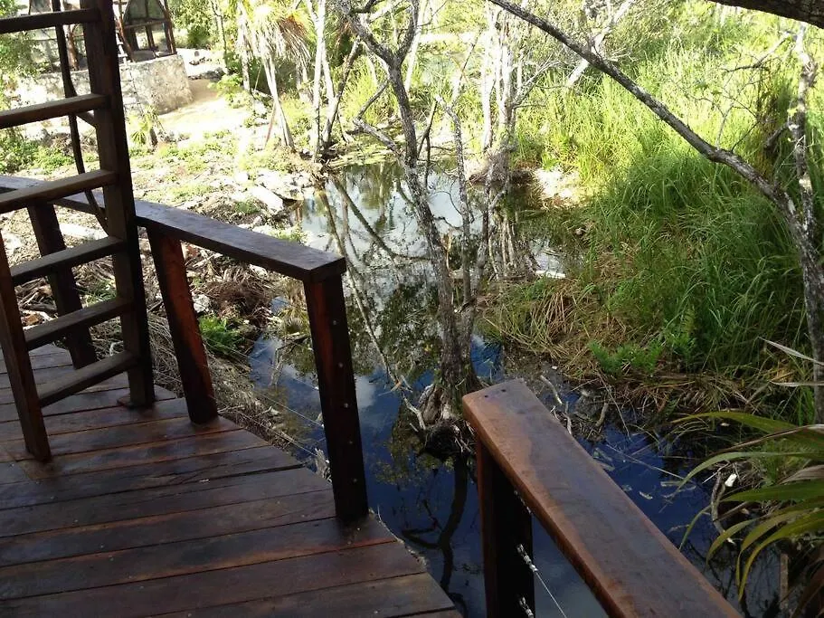 Exotic Eco House In Jungle With Private Cenote Villa Tulum Holiday home