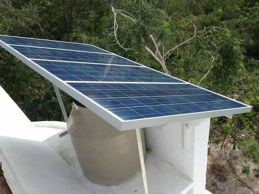 Exotic Eco House In Jungle With Private Cenote Villa Tulum Holiday home