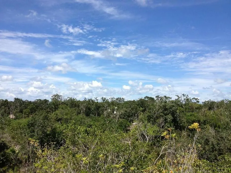 Exotic Eco House In Jungle With Private Cenote Villa Tulum Holiday home