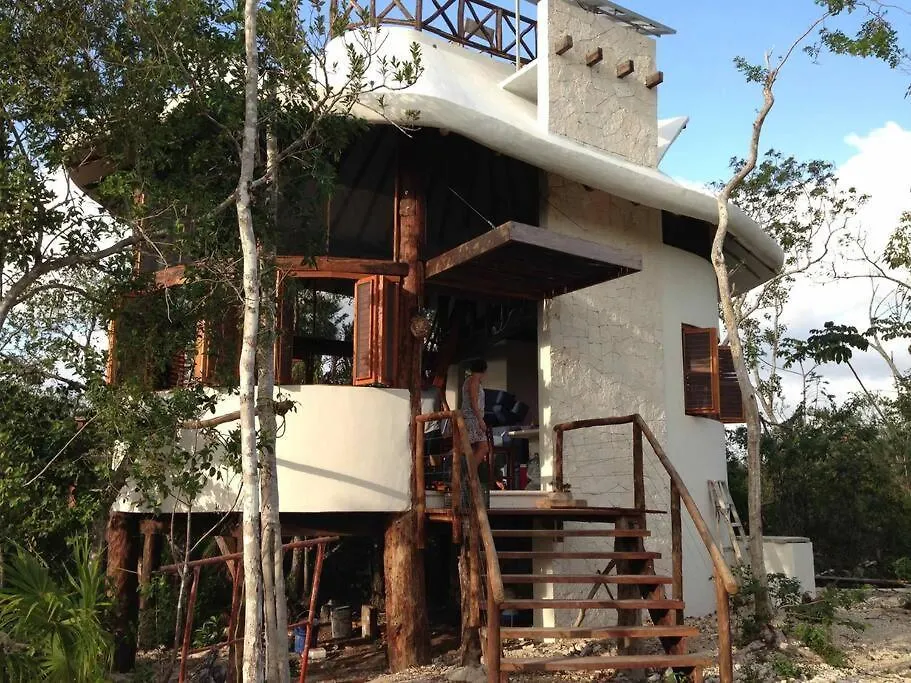 Exotic Eco House In Jungle With Private Cenote Villa Tulum