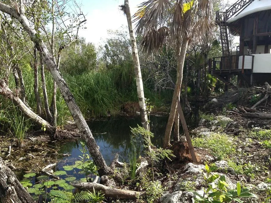 Holiday home Exotic Eco House In Jungle With Private Cenote Villa Tulum