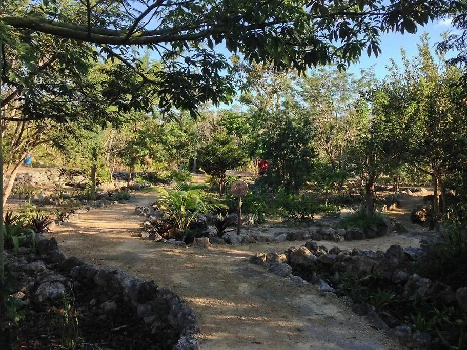 Exotic Eco House In Jungle With Private Cenote Villa Tulum Mexico