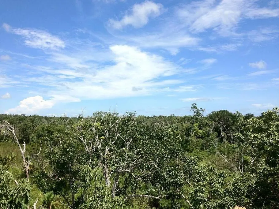 Exotic Eco House In Jungle With Private Cenote Villa Tulum 0*,  Mexico