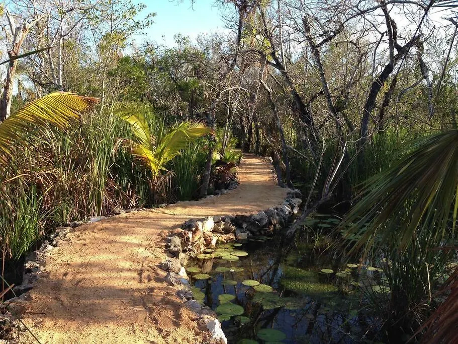 Holiday home Exotic Eco House In Jungle With Private Cenote Villa Tulum Mexico