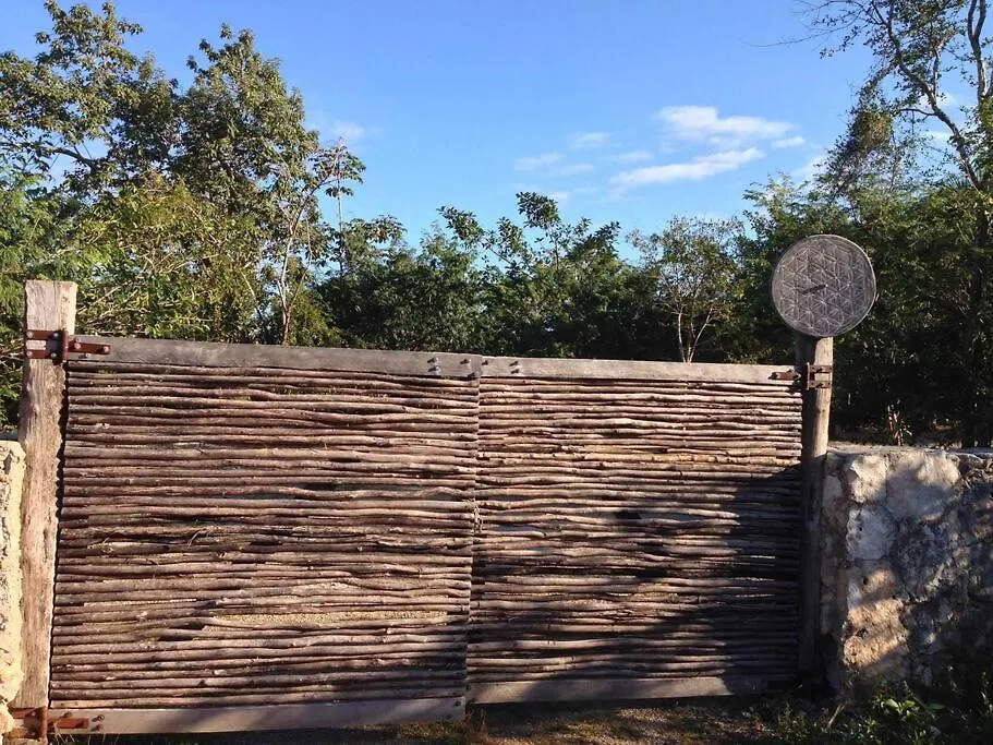 Exotic Eco House In Jungle With Private Cenote Villa Tulum Holiday home