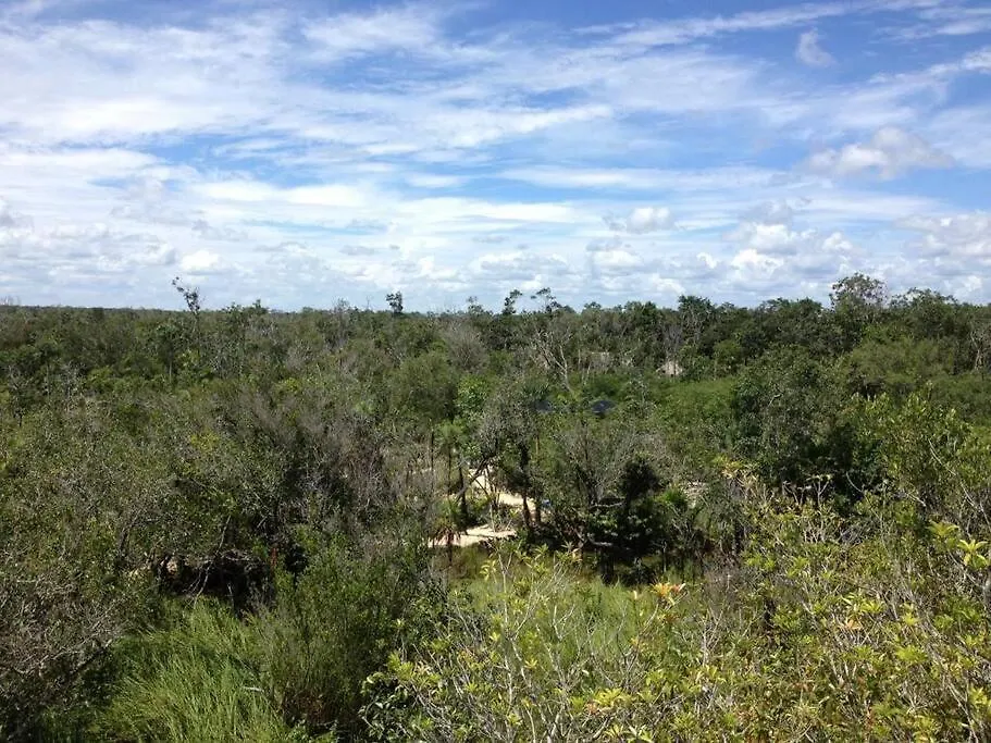 Holiday home Exotic Eco House In Jungle With Private Cenote Villa Tulum