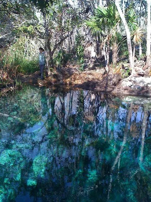 Exotic Eco House In Jungle With Private Cenote Villa Tulum 0*,  Mexico
